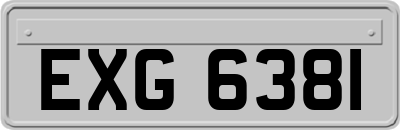EXG6381