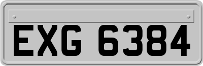 EXG6384