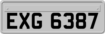 EXG6387