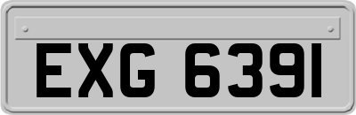 EXG6391