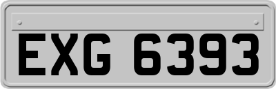 EXG6393