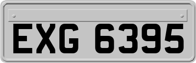 EXG6395