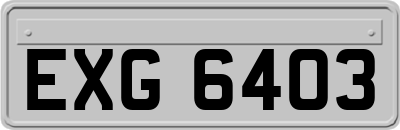 EXG6403