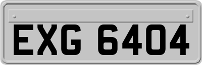 EXG6404