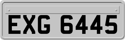 EXG6445