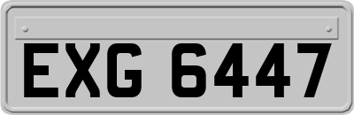 EXG6447