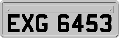 EXG6453