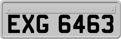EXG6463