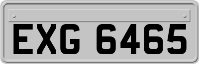 EXG6465