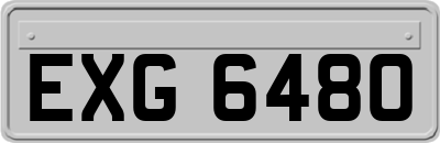 EXG6480