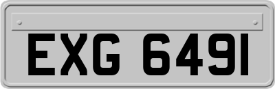 EXG6491