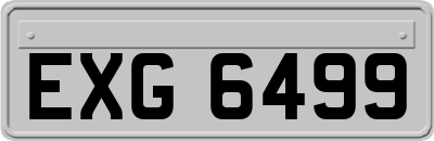 EXG6499