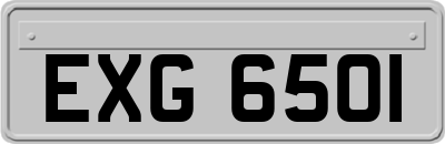 EXG6501