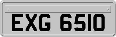 EXG6510