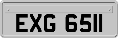 EXG6511