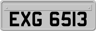 EXG6513