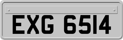 EXG6514