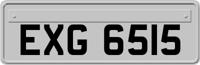 EXG6515