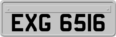 EXG6516