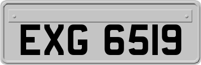 EXG6519