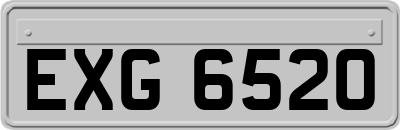 EXG6520
