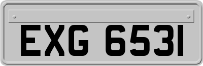 EXG6531