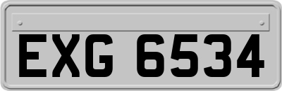 EXG6534