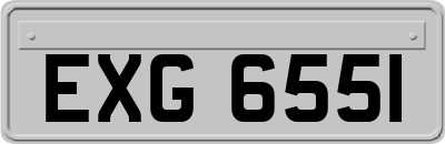 EXG6551