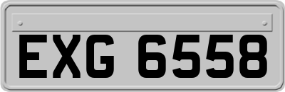 EXG6558