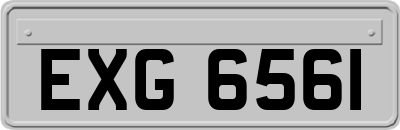 EXG6561