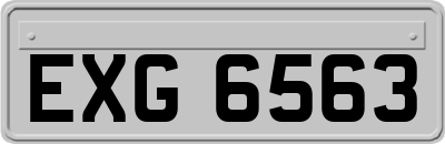 EXG6563