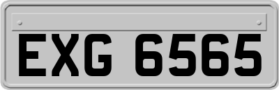 EXG6565