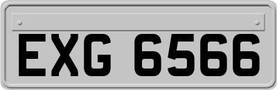EXG6566