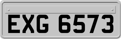 EXG6573