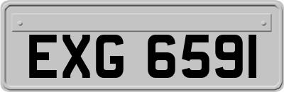 EXG6591