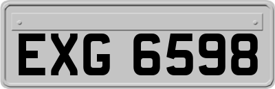 EXG6598