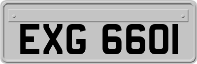 EXG6601