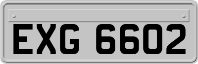 EXG6602