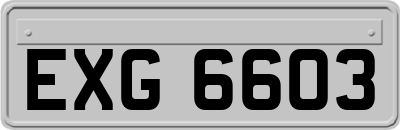 EXG6603