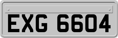 EXG6604