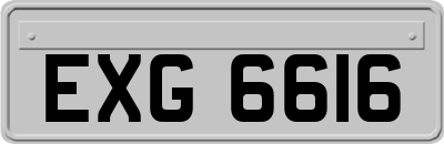 EXG6616