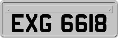 EXG6618