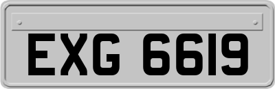 EXG6619
