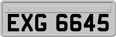 EXG6645