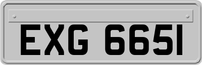 EXG6651