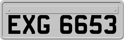 EXG6653