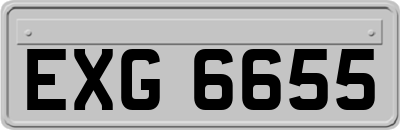 EXG6655