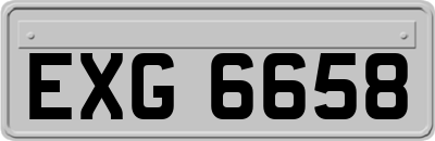 EXG6658