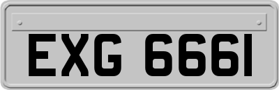 EXG6661