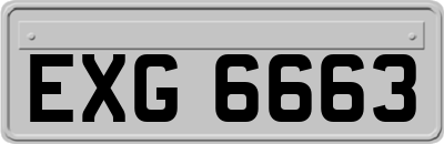 EXG6663
